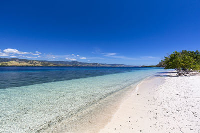 Scenic view of beach against blue sky