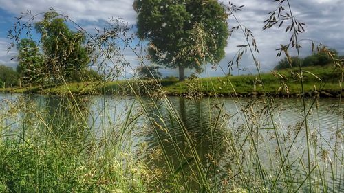 Scenic view of lake against sky