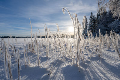 Scenic view of snow covered landscape