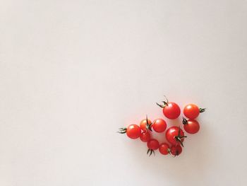 Red apple over white background