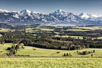 Scenic view of agricultural field and mountains against sky