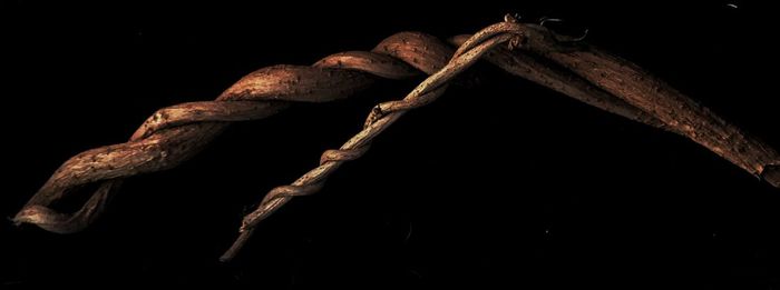 Close up of wood against black background