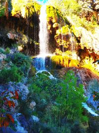 Scenic view of waterfall in forest