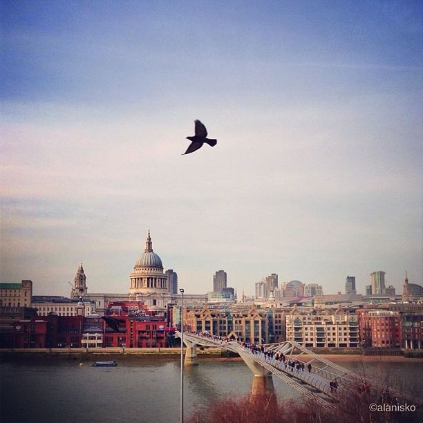 architecture, building exterior, built structure, bird, flying, sky, animal themes, water, city, dome, wildlife, animals in the wild, one animal, waterfront, transportation, outdoors, river, cloud - sky, incidental people, travel destinations