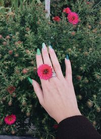 Cropped hand of woman holding flower