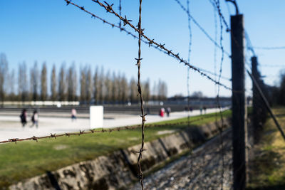 Close-up of barbed wire on grass