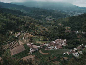 High angle view of trees and houses on field