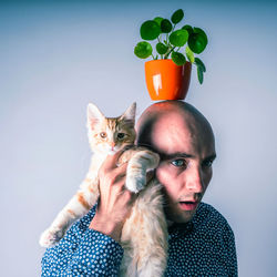 Portrait of cat against black background