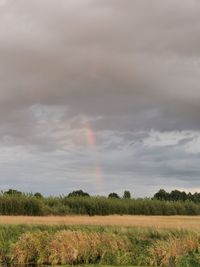 Scenic view of field against rainbow in sky