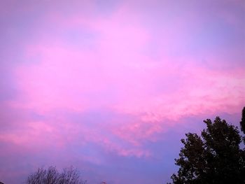 Low angle view of silhouette trees against romantic sky