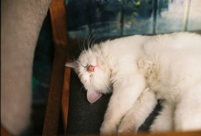 High angle view of cat sleeping on seat at home