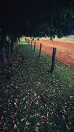 Wooden fence on grassy field