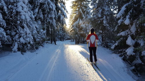 Woman skiing in forest
