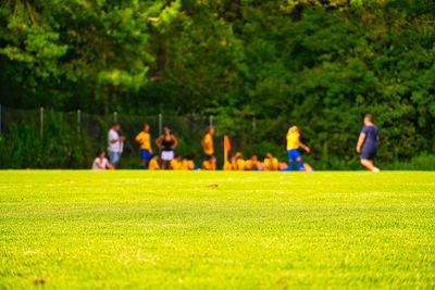 People relaxing on field against trees