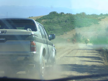 Car on road