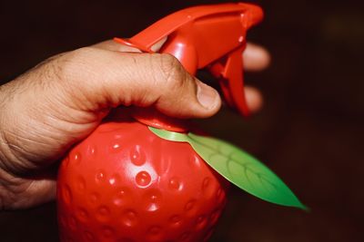 Close-up of hand holding red chili