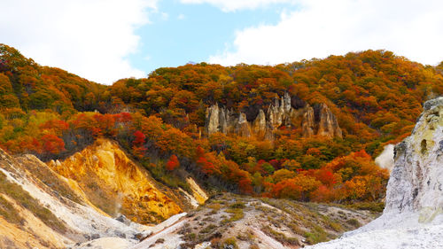 Scenic view of autumnal trees against sky