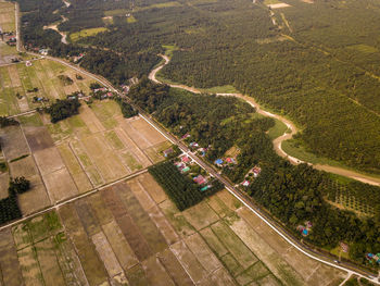 High angle view of agricultural field