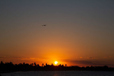 Silhouette birds flying over lake against sky during sunset