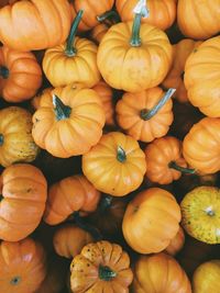 Full frame shot of pumpkins