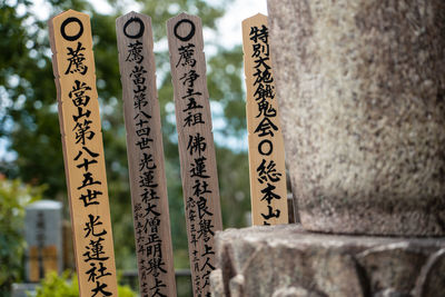 Close-up of text on tree trunk