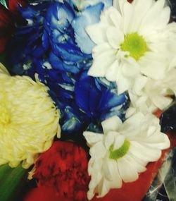 Close-up of yellow flower