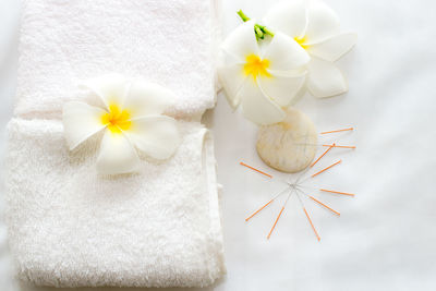 High angle view of white roses