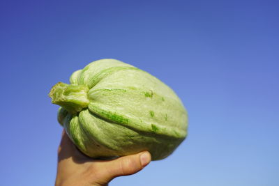 Cropped image of hand holding leaf against blue sky