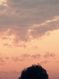 Low angle view of trees against cloudy sky