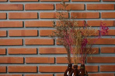 Close-up of brick wall