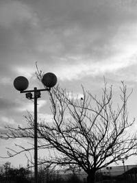 Low angle view of bare tree against sky