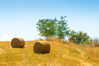 Hay bales on field against sky