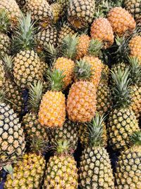 Full frame shot of fruits for sale in market