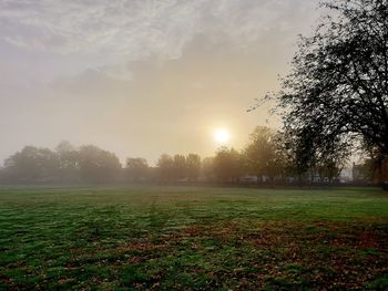 Scenic view of field against sky during foggy weather