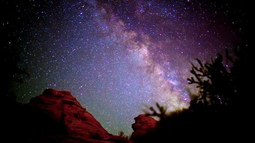 Low angle view of silhouette trees against star field at night