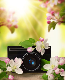Retro camera on a blurred natural background. apple-tree garden in the sun. spring.