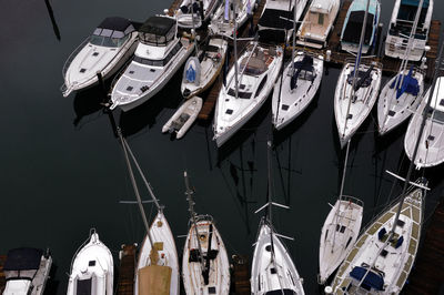 High angle view of sailboats moored at harbor