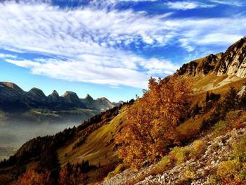 Scenic view of landscape and mountains against sky