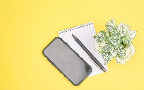 High angle view of white flower on table against yellow background