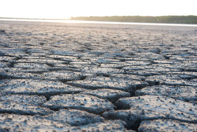 Surface level of land against the sky