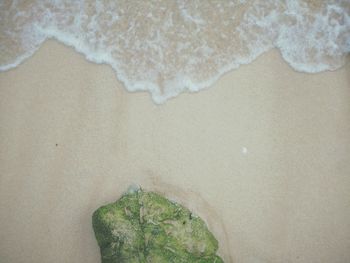 High angle view of bread on sand