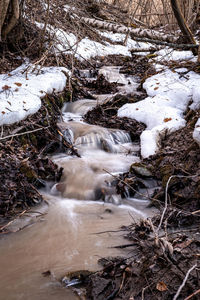 Scenic view of stream in forest during winter