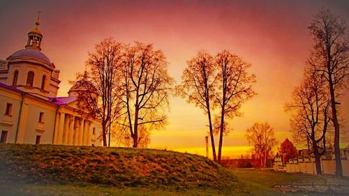 Bare trees against sky at sunset