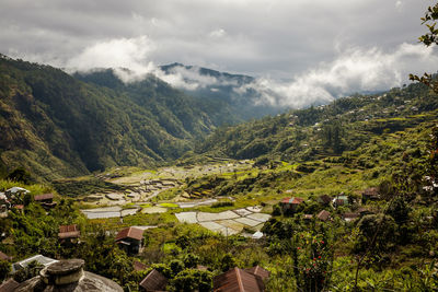 Scenic view of tree mountains against sky