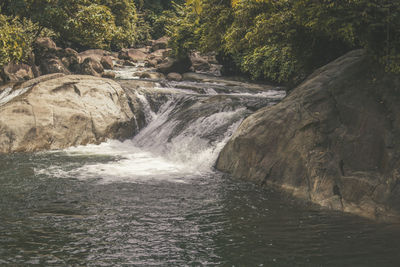 Scenic view of waterfall in forest