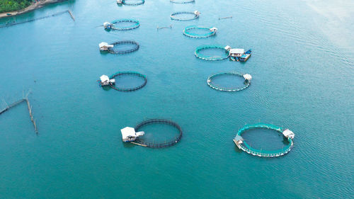 Fish cage for tilapia, milkfish farming aquaculture or pisciculture practices. philippines, luzon. 