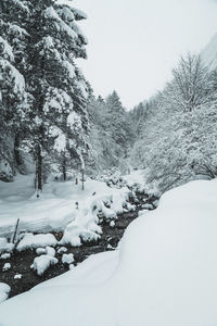 Snow covered trees on field against sky