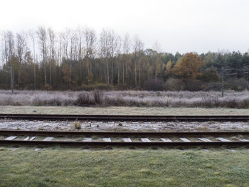 Trees by railroad tracks against sky