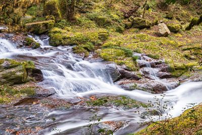 Stream flowing through rocks in forest