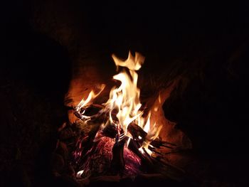 Close-up of bonfire at night